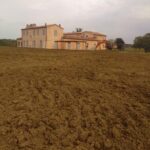 GTG-livellamenti terreni e fosse (5)