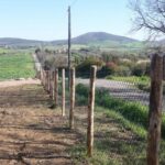 GTG-recinzioni, tettoie e passerelle (11)