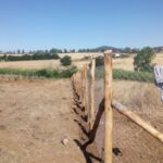 GTG-recinzioni, tettoie e passerelle (13)