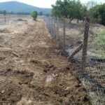 GTG-recinzioni, tettoie e passerelle (5)